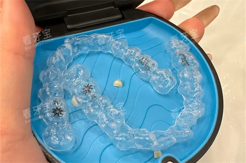 �������������ν�������