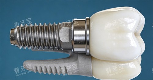 ������ֲ������Ƭչʾ