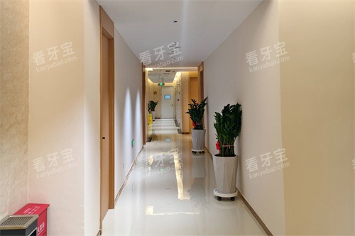 ����ŵ������ǻ����