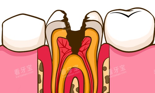 ȣ��������չʾ