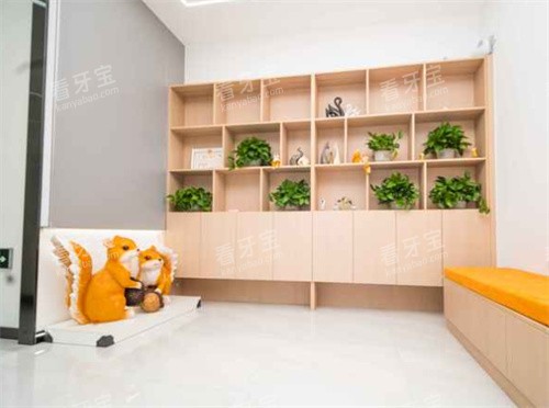 北京松鼠家口腔环境 北京松鼠家口腔环境