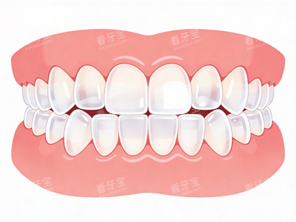 整齐牙齿动画示意图 整齐牙齿动画示意图