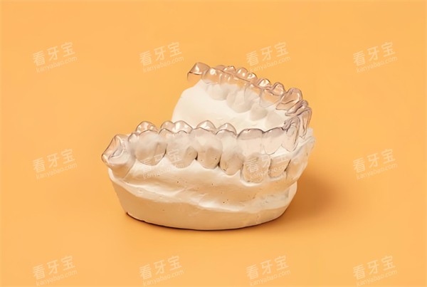 牙齿模型图示 牙齿模型图示