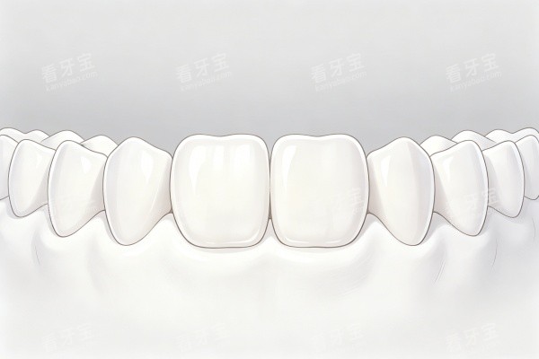 洁白整齐牙齿模型图展示 洁白整齐牙齿模型图展示
