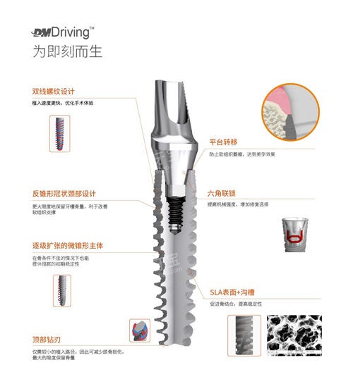 �ٳ�̩DMDriving��ֲ�����ƽ���ͼ.jpg