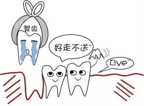 拔智齿示意图.jpg 拔智齿示意图.jpg