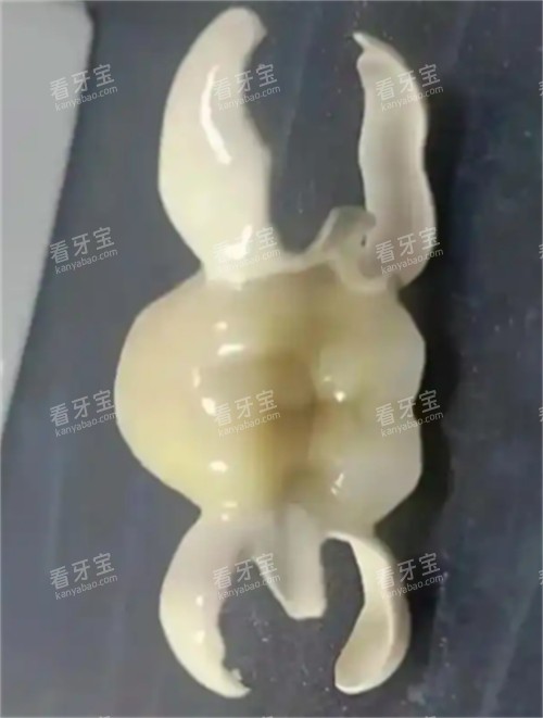 马里兰桥修复展示.jpg 马里兰桥修复展示.jpg