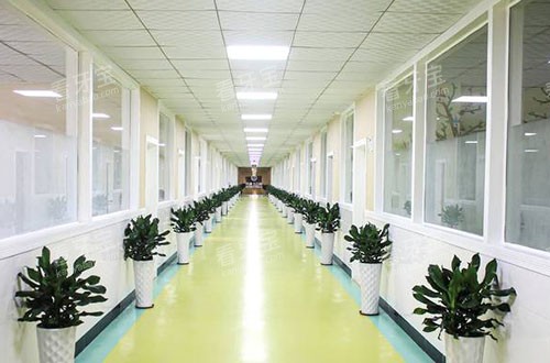 北海牙博士口腔走廊环境图.jpg 北海牙博士口腔走廊环境图.jpg