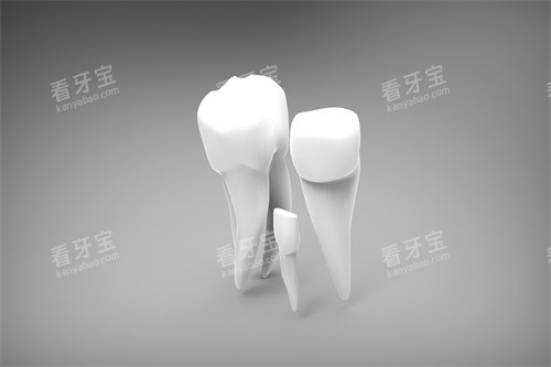 牙齿操作示意图.jpg 牙齿操作示意图.jpg