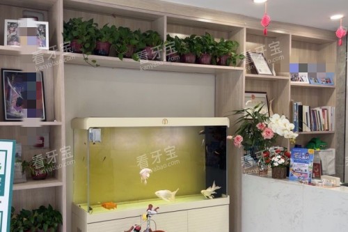 ʯ��ׯ������ǻ����.jpg