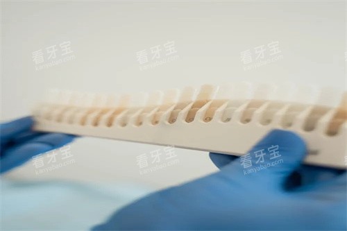 牙齿色号展示 牙齿色号展示