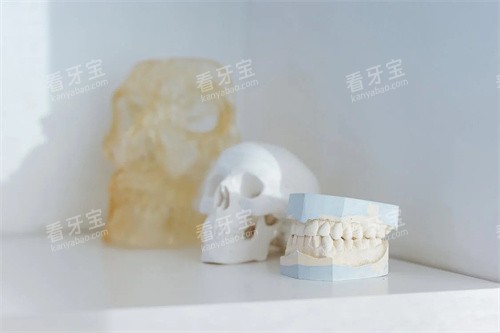 牙齿材料展示.jpg 牙齿材料展示.jpg