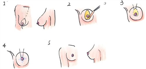 �鷿�´�����������.jpg
