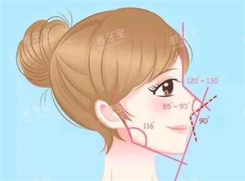 隆鼻的比例.jpg 隆鼻的比例.jpg