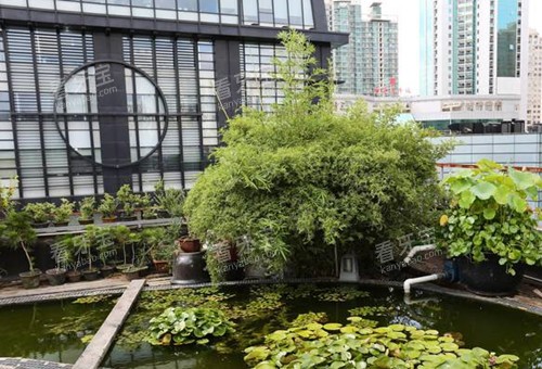 上海华美口腔外景环境.jpg 上海华美口腔外景环境.jpg