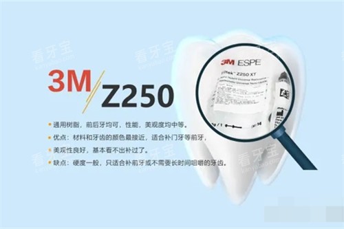 3MZ250��֬����ʾ��ͼ.jpg