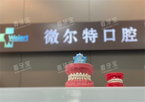 北京维尔特五彩口腔模型图.jpg 北京维尔特五彩口腔模型图.jpg