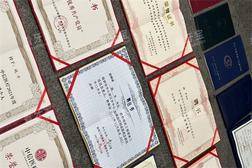 杭州整形医院荣誉证书.jpg 杭州整形医院荣誉证书.jpg