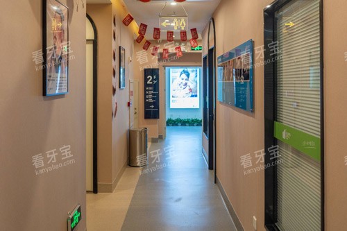 江门松鼠口腔走廊图.jpg 江门松鼠口腔走廊图.jpg
