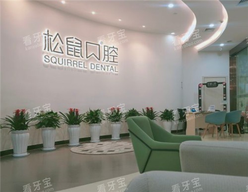 昆明松鼠口腔环境展示图.jpg 昆明松鼠口腔环境展示图.jpg