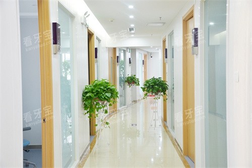 宁德荷马口腔走廊.jpg 宁德荷马口腔走廊.jpg