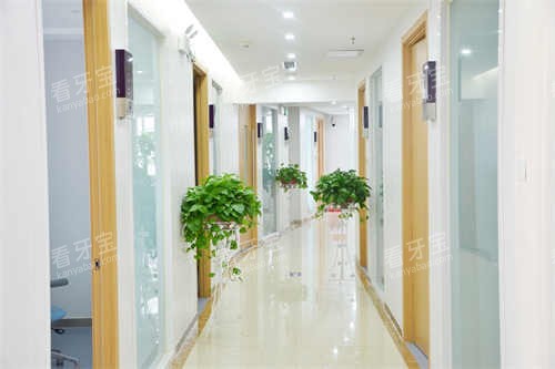 福建宁德荷马口腔走廊.jpg 福建宁德荷马口腔走廊.jpg