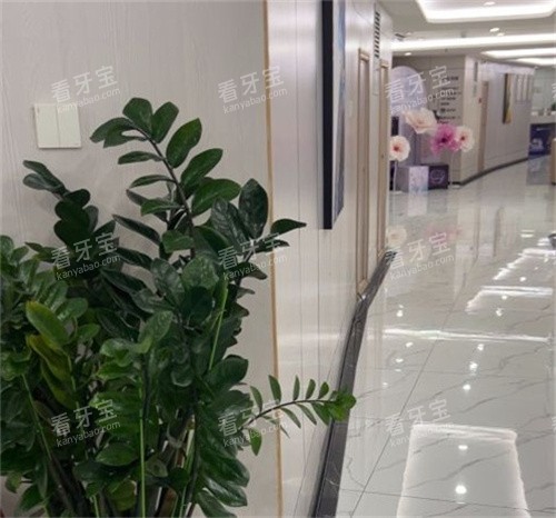 珠海九龙整形环境展示.jpg 珠海九龙整形环境展示.jpg