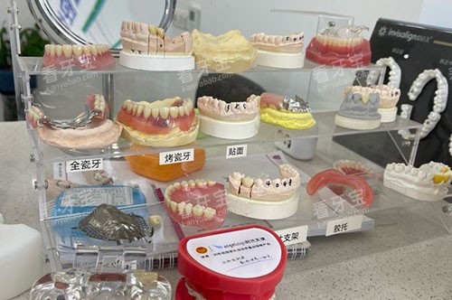 上海良宜口腔牙齿模型展示.jpg 上海良宜口腔牙齿模型展示.jpg