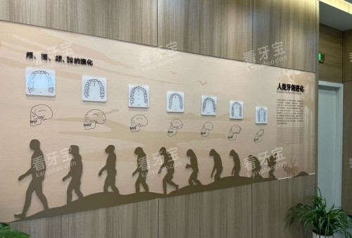 衢州可恩口腔人类进化展示图.jpg 衢州可恩口腔人类进化展示图.jpg